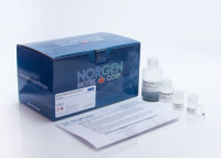 46200 Sputum DNA Isolation Kit ( 25 rxn )